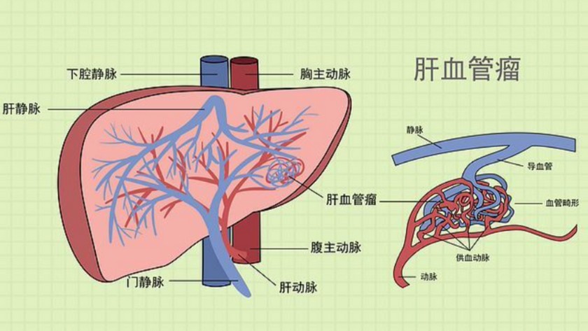 屏幕截图 2026-08-19 103352.jpg