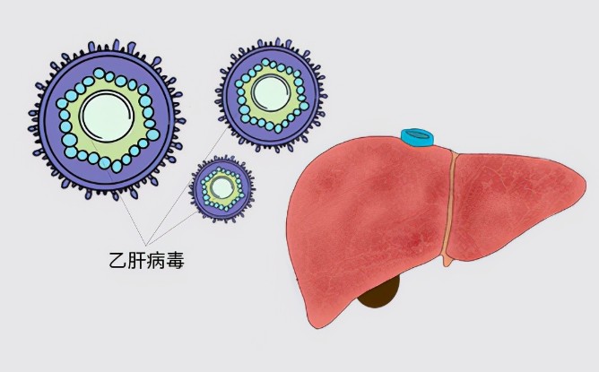 1787121647440820.jpg 屏幕截图 2026-08-19 105656.jpg