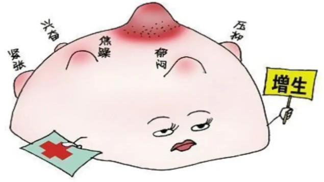 1787126619709918.jpg 屏幕截图 2026-08-19 153304.jpg