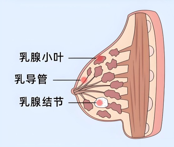 1787127256854525.jpg 屏幕截图 2026-08-19 153413.jpg