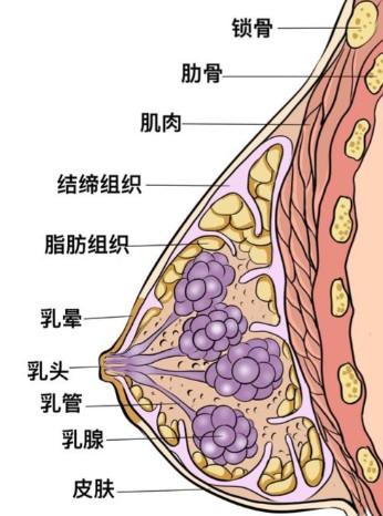 1787128553228539.jpg 屏幕截图 2026-08-19 153725.jpg