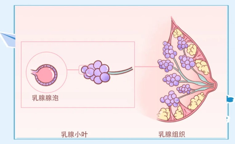 1787129496589075.jpg 屏幕截图 2026-08-19 153917.jpg