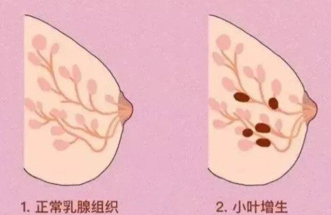 1787129510458630.jpg 屏幕截图 2026-08-19 154003.jpg