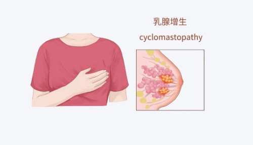屏幕截图 2026-08-19 154144.jpg