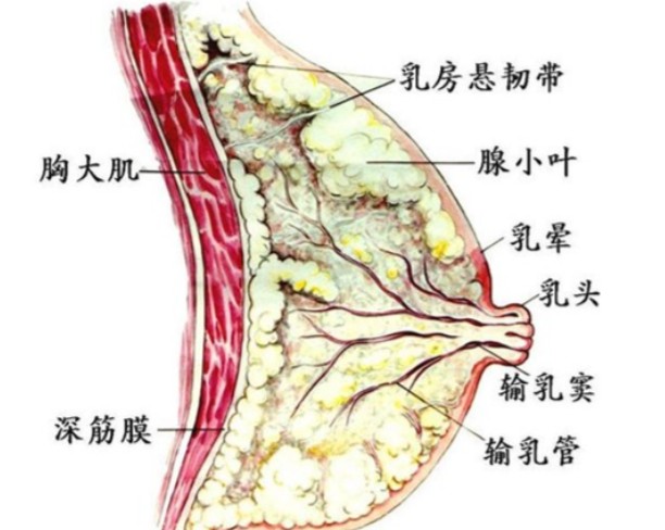1787130718548251.jpg 屏幕截图 2026-08-19 154233.jpg
