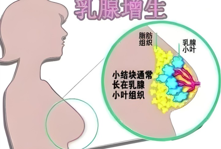 屏幕截图 2026-08-19 154729.jpg