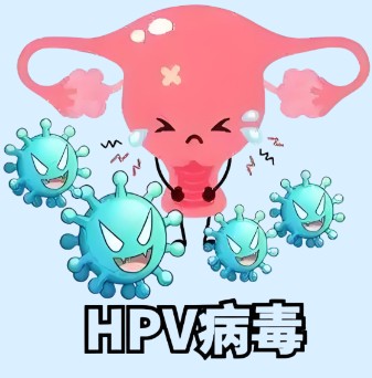 1787134110494760.jpg 屏幕截图 2026-08-19 175637.jpg