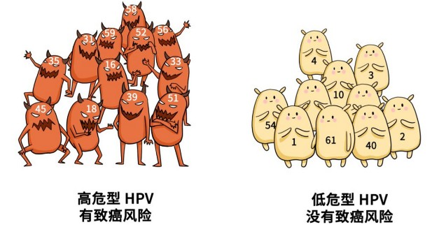 1787136803222723.jpg 屏幕截图 2026-08-19 175759.jpg