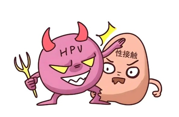 1787136829495999.jpg 屏幕截图 2026-08-19 175830.jpg