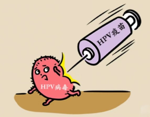 1787198018989647.jpg 屏幕截图 2026-08-19 183317.jpg