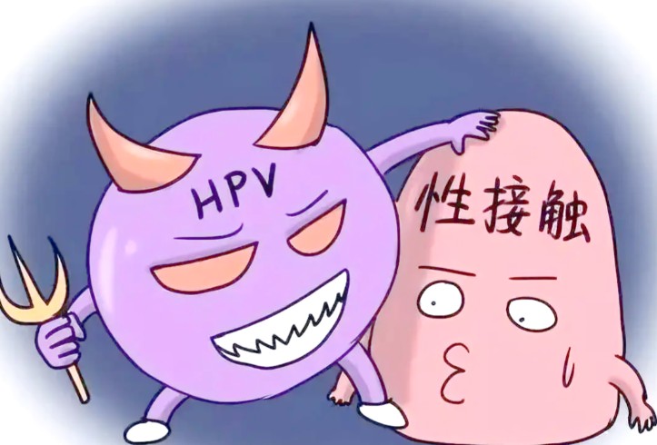 1787203043210804.jpg 屏幕截图 2026-08-19 183654.jpg