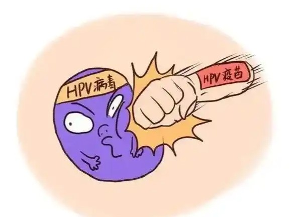 1787204446130278.jpg 屏幕截图 2026-08-19 190257.jpg