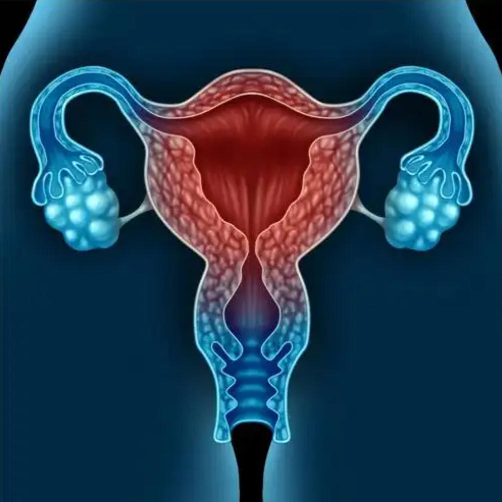1787204922995382.jpg ScreenShot_2026-08-19_172528_072.jpg
