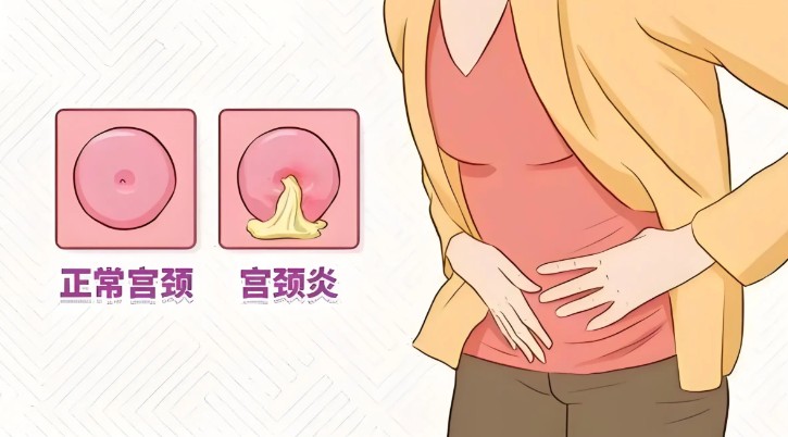 1787207056408342.jpg 屏幕截图 2026-08-19 191304.jpg
