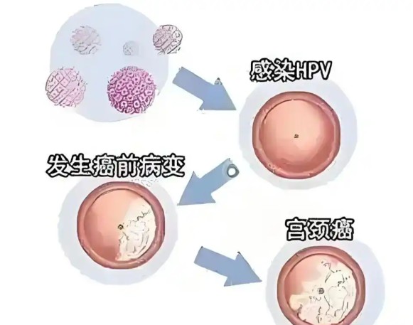1787207423121702.jpg 屏幕截图 2026-08-20 100738.jpg