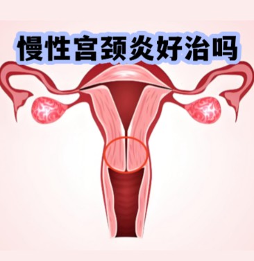 1787208650458363.jpg 屏幕截图 2026-08-20 101416.jpg