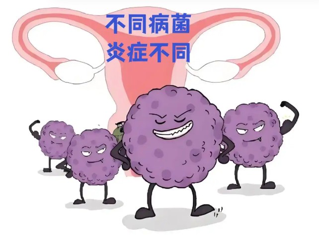 1787210317248810.jpg 屏幕截图 2026-08-20 101452.jpg