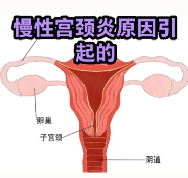 1787210599639097.jpg 屏幕截图 2026-08-20 102204.jpg