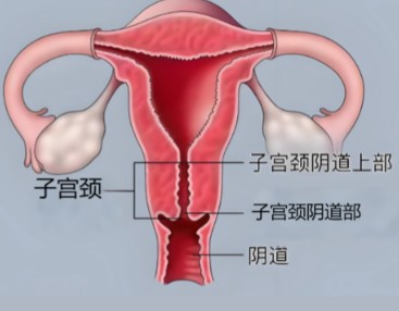 1787211077381990.jpg 屏幕截图 2026-08-20 104113.jpg