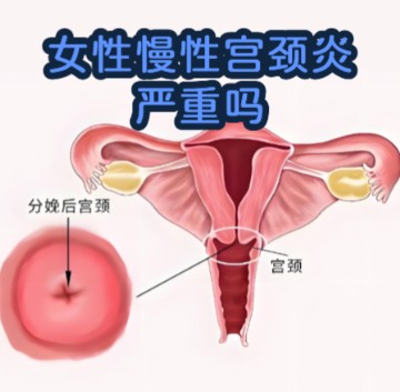 1787211096800242.jpg 屏幕截图 2026-08-20 104138.jpg