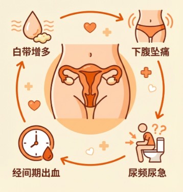 1787211106434302.jpg 屏幕截图 2026-08-20 104213.jpg