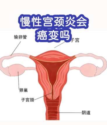 1787211443887680.jpg 屏幕截图 2026-08-20 104734.jpg