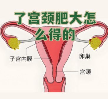 1787211668321069.jpg 屏幕截图 2026-08-20 104752.jpg