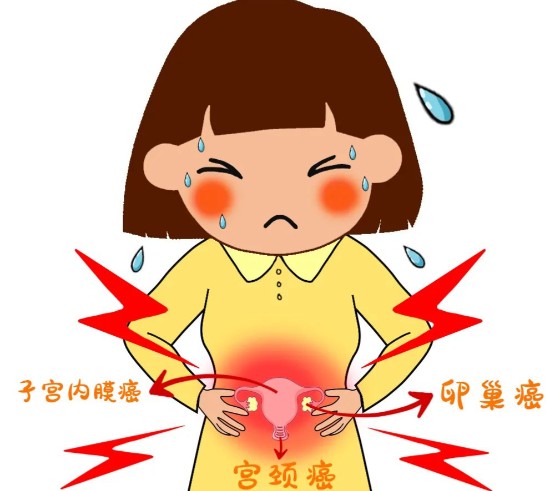 屏幕截图 2026-08-20 105413.jpg