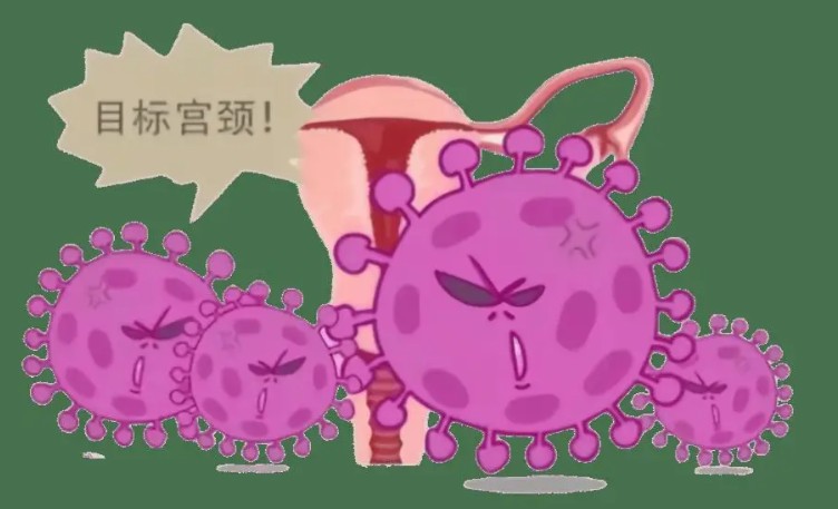 1787214017332150.jpg 屏幕截图 2026-08-20 105454.jpg