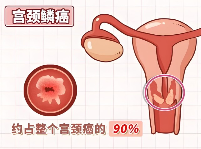 1787215149138049.jpg 屏幕截图 2026-08-20 105914.jpg