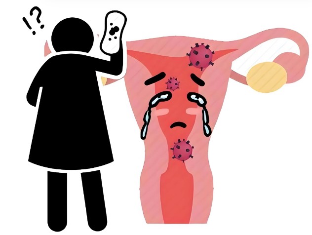 屏幕截图 2026-08-20 111127.jpg