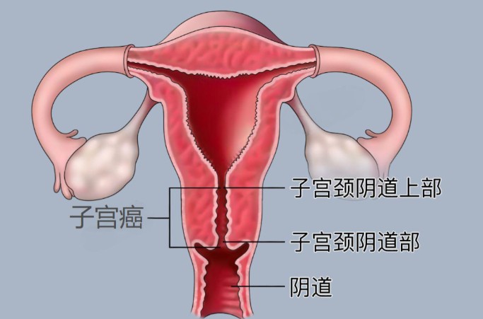 1787215924280568.jpg 屏幕截图 2026-08-20 111209.jpg