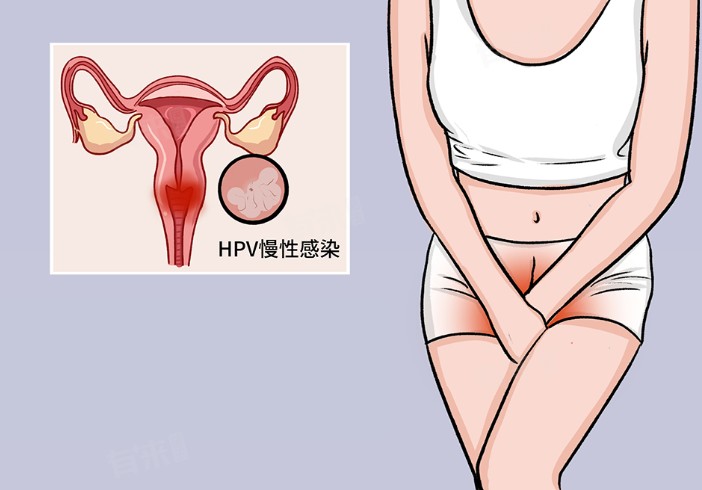 1787215943945217.jpg 屏幕截图 2026-08-20 111335.jpg