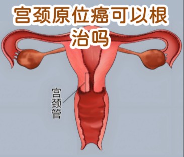 1787215952578621.jpg 屏幕截图 2026-08-20 111441.jpg