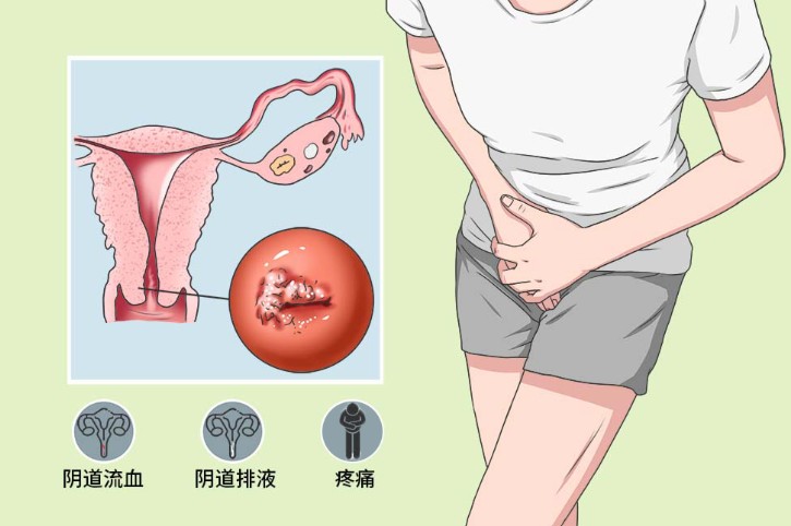 1787216321185158.jpg 屏幕截图 2026-08-20 111351.jpg