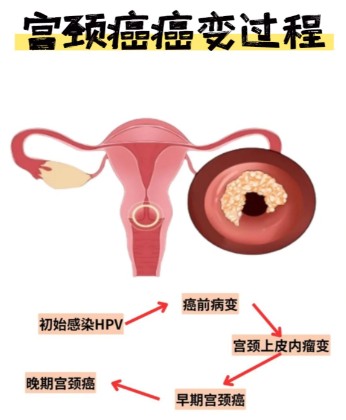 1787216331191730.jpg 屏幕截图 2026-08-20 111509.jpg