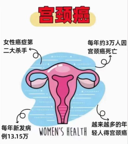 1787216801362400.jpg 屏幕截图 2026-08-20 111833.jpg