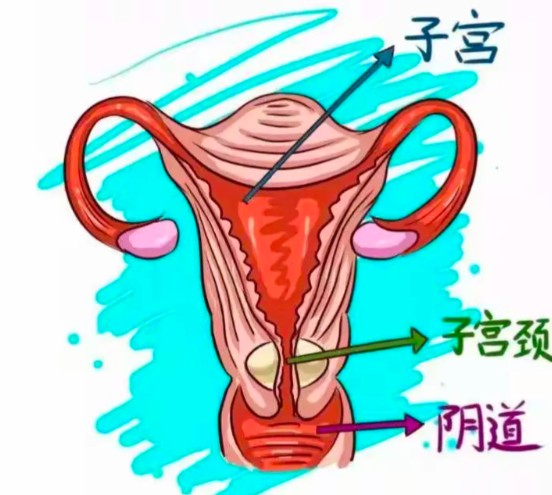 屏幕截图 2026-08-20 111934.jpg