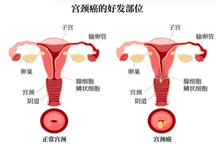 屏幕截图 2026-08-20 105230.jpg