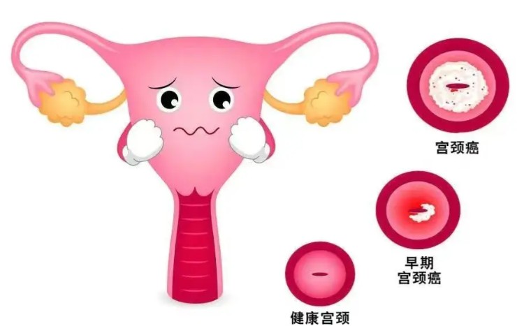 屏幕截图 2026-08-20 105135.jpg