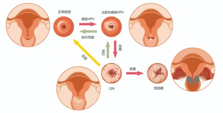 屏幕截图 2026-08-20 105646.jpg