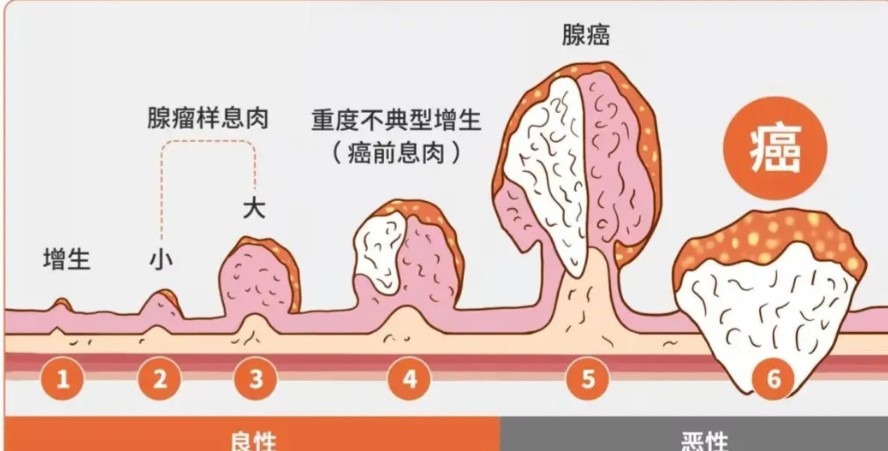 1787220326866371.jpg 屏幕截图 2026-08-20 174104.jpg