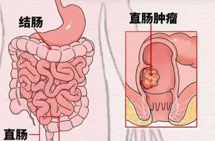 1787221020435650.jpg 屏幕截图 2026-08-20 174333.jpg