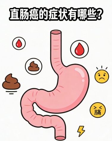 1787221487645591.jpg 屏幕截图 2026-08-20 174558.jpg