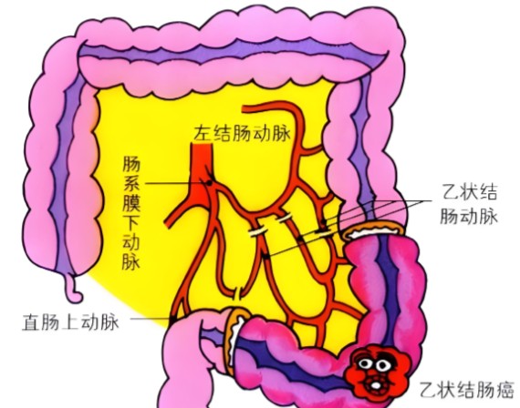 1787292062204497.jpg 屏幕截图 2026-08-21 134101.jpg