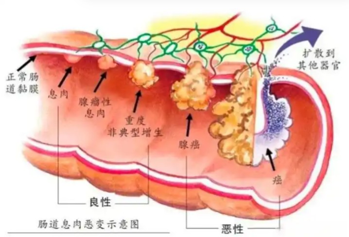 屏幕截图 2026-08-21 141232.jpg