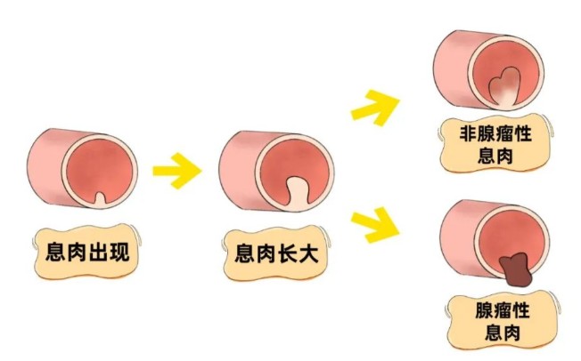 1787299125180820.jpg 屏幕截图 2026-08-21 154155.jpg