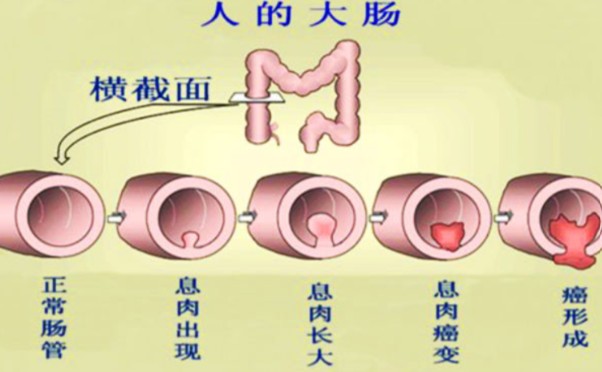 屏幕截图 2026-08-21 155103.jpg