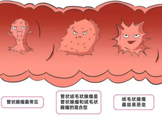 1787299537438214.jpg 屏幕截图 2026-08-21 160433.jpg