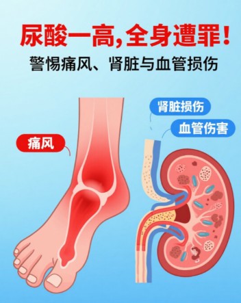 1787307375636601.jpg 屏幕截图 2026-08-21 175303.jpg